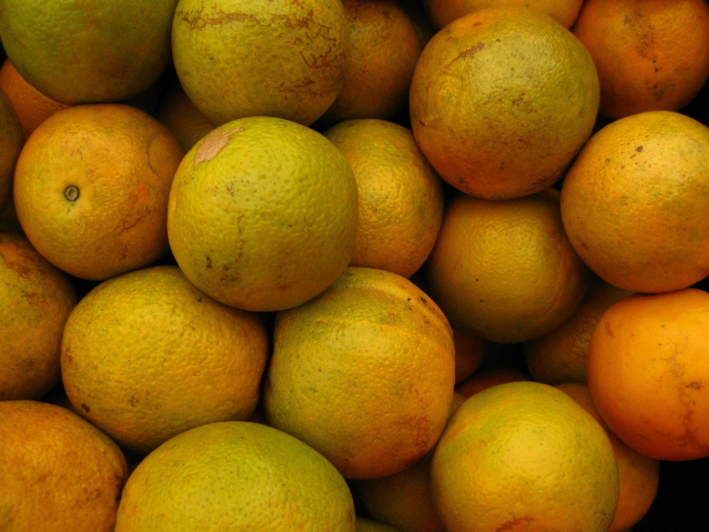 naranjas-jugos-quito.jpg naranjas-jugos-quito.jpg
