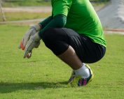 Svg+xml,%3Csvg%20xmlns%3D%27http%3A%2F%2Fwww.w3