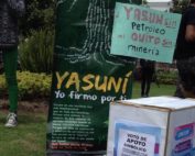 activistas recogen firmas para la consulta popular de Yasuní