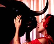 &iquest;Siguen las corridas de toros en Quito?