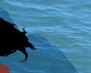 Asesinato de Alicia Mar&iacute;n. Ilustraci&oacute;n de Daniela Mora Hern&aacute;ndez.