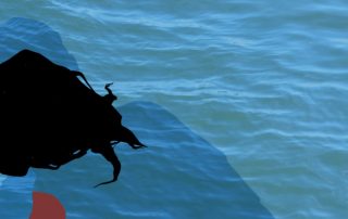 Asesinato de Alicia Marín. Ilustración de Daniela Mora Hernández.