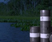 ganó el sí en la pregunta del Yasuní