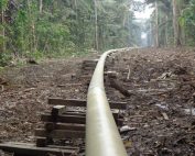 extracción petrolera en el Putumayo