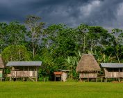 consulta popular yasuní