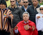 culpa de correa