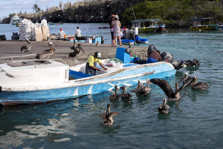 Pescadores artesanales de Galápagos