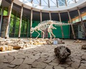 efectos del cambio climático