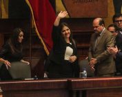 qué hizo maria alejandra vicuña como vicepresidenta