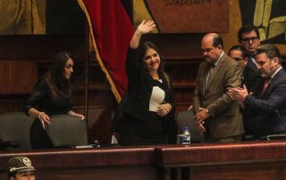 qué hizo maria alejandra vicuña como vicepresidenta