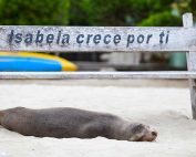 Svg+xml,%3Csvg%20xmlns%3D%27http%3A%2F%2Fwww.w3