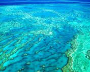 aumente temperatura océanos