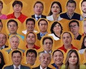 Quiénes son los candidatos al Consejo de Participación Ciudadana y Control Social 2019