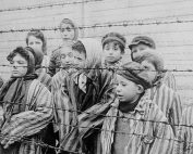 las feminazis no existen