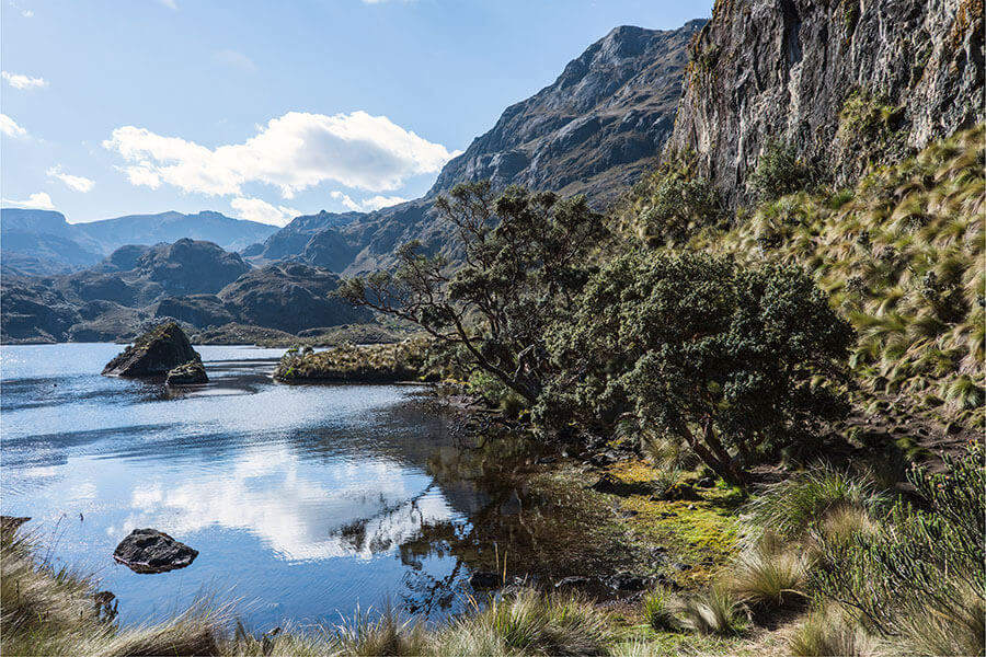 Parque El Cajas