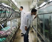 para qué sirve un phd