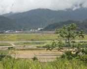 ecosistemas y comunidades en Mirador