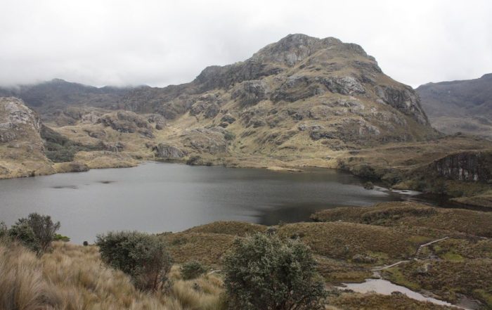 El Cajas