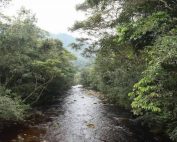 efectos ambientales de Mirador