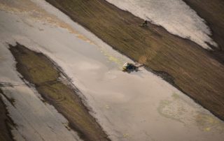 La comida en peligro por el cambio climático