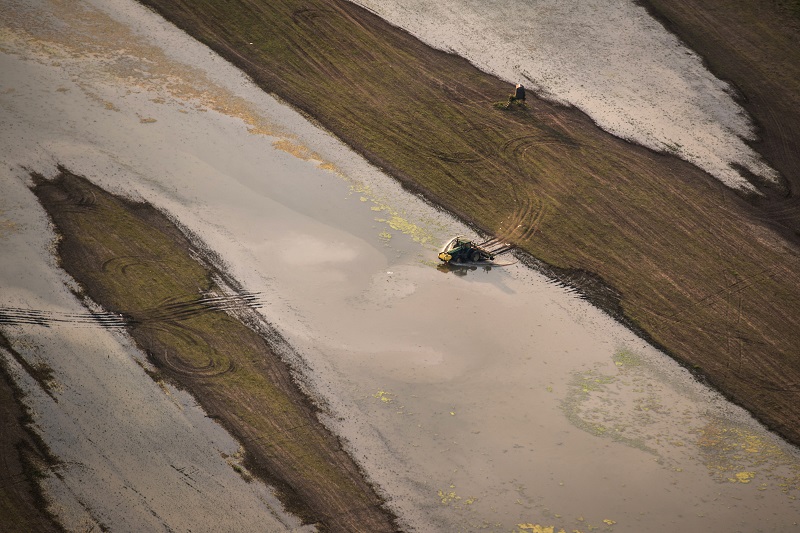 La comida en peligro por el cambio climático