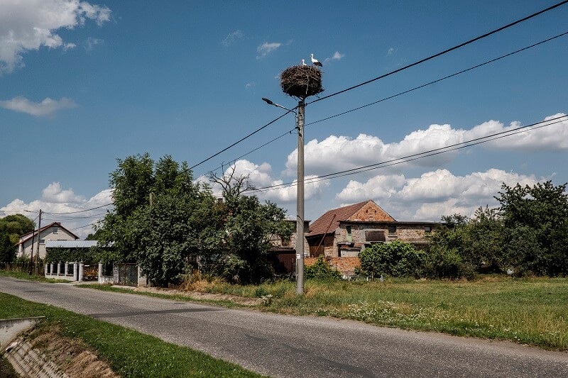 Solo nacen niñas en en Miejsce Odrzańskie.