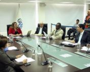 cuestionamientos al consejo de participaci&oacute;n ciudadana