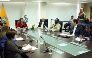 cuestionamientos al consejo de participación ciudadana