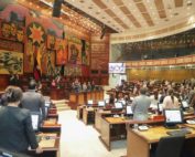 diferencias asamblea bicameral