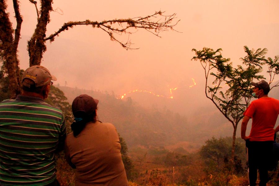 incendio forestal quilanga