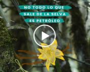 bioeconom&iacute;a ecuador