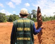 monitores ambientales indígenas