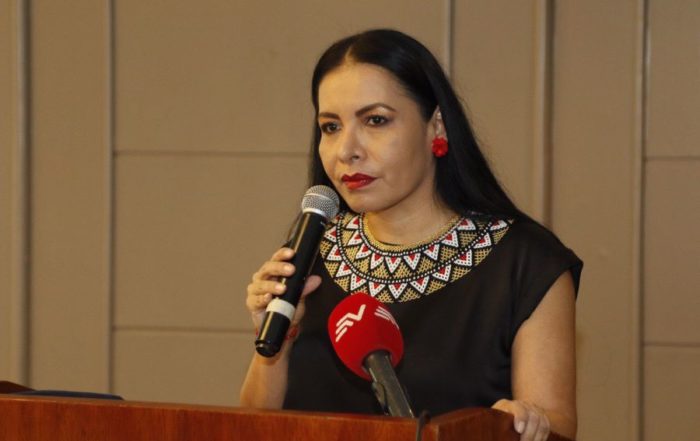 DIANA ATAMAINT2