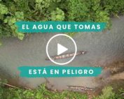 cuencas sagradas es una alternativa para cuidar la Amazonía