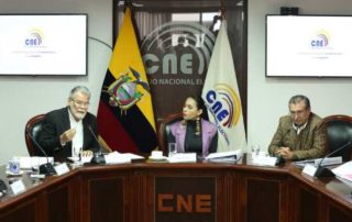 CNE presenta informe sobre arroz verde