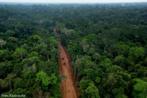 Deforestacion En Ecuador