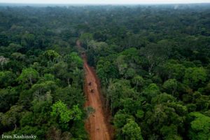 Deforestacion En Ecuador 300x200