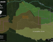 deforestación en el Yasuní