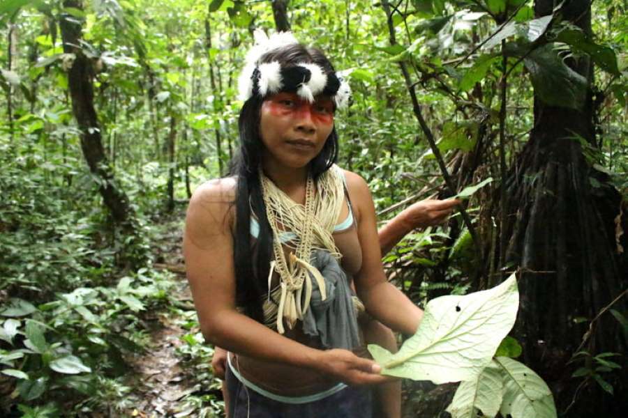 ambiente en Ecuador