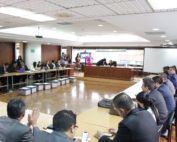 Portada Arroz Verde1