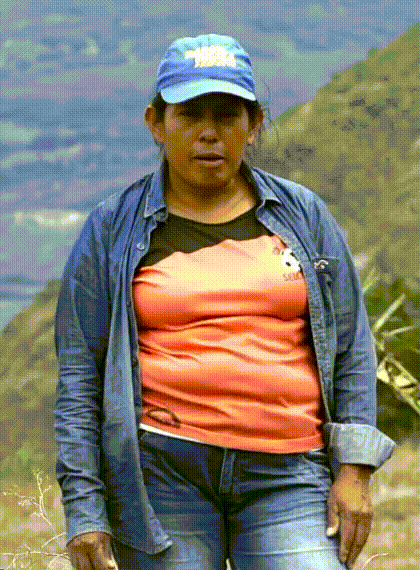 Daisy Svg+xml,%3Csvg%20xmlns%3D%27http%3A%2F%2Fwww.w3