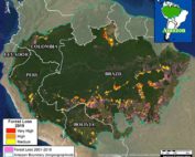 síntesis de deforestación en la amazonía