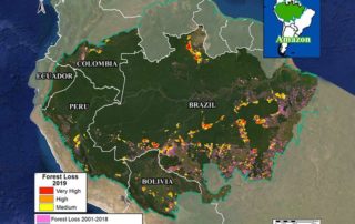 síntesis de deforestación en la amazonía