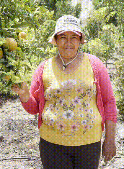 Melida Svg+xml,%3Csvg%20xmlns%3D%27http%3A%2F%2Fwww.w3