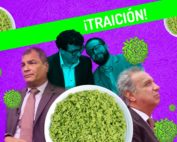 Svg+xml,%3Csvg%20xmlns%3D%27http%3A%2F%2Fwww.w3