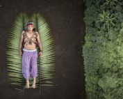 impactos de las carreteras en la Amazonía