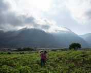 adptación cambio climático