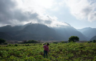 adptación cambio climático
