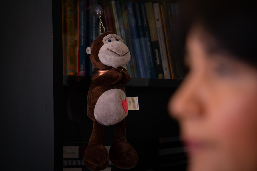 Ximena Peña habla sobre el futuro de Alianza País