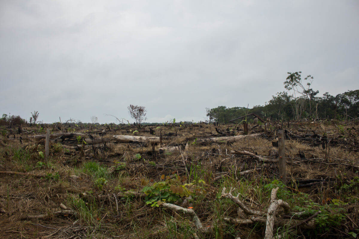 día mundial del clima